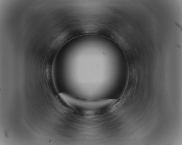 X0000097780074200803071359
