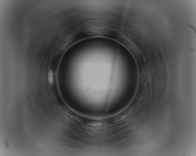 X0000097780075200803071359