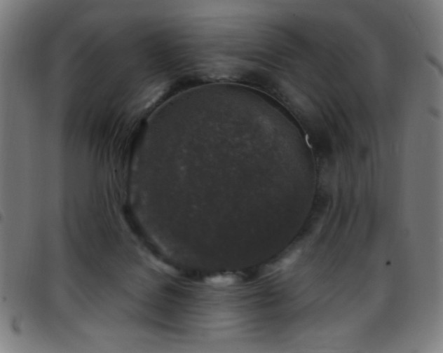 X0000097780076200803071359