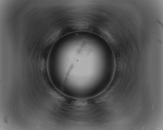 X0000097780077200803071359