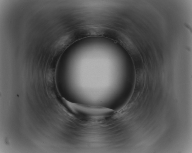 X0000097780078200803071359