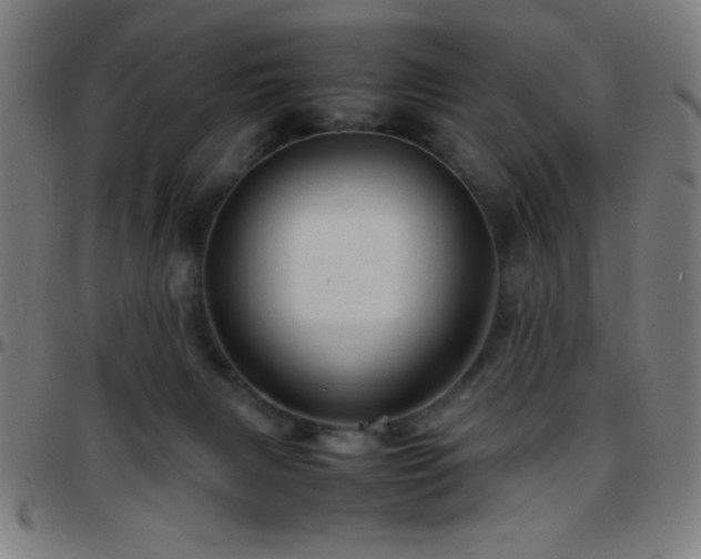 X0000097780079200803071359