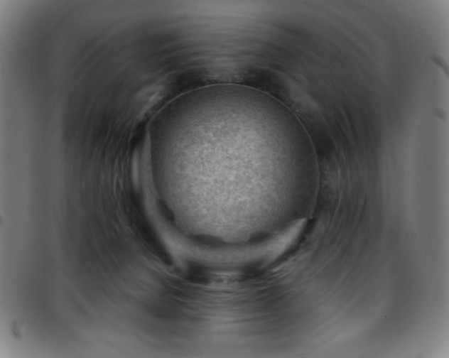 X0000097780080200803071359