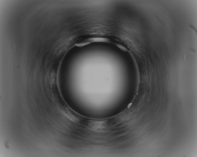 X0000097780081200803071359