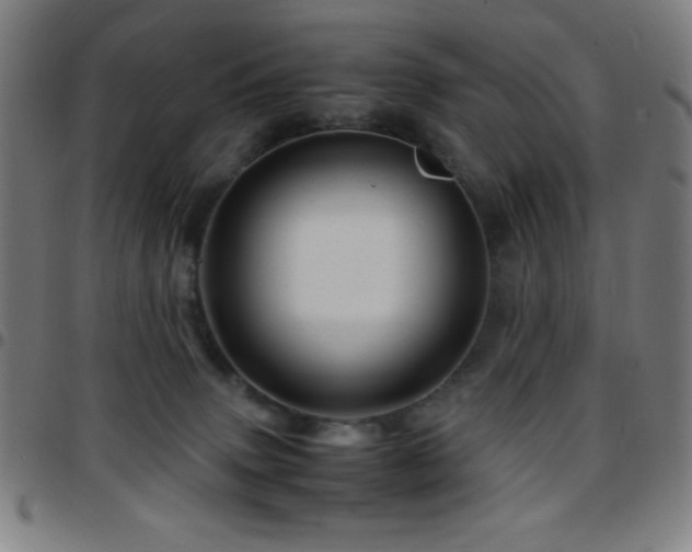 X0000097780083200803071359