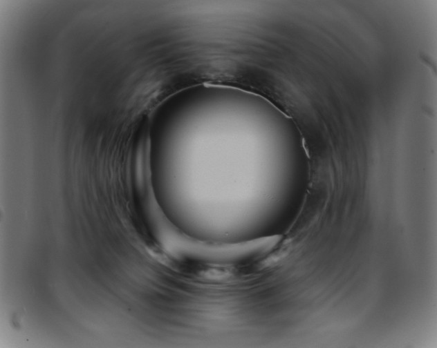 X0000097780084200803071359