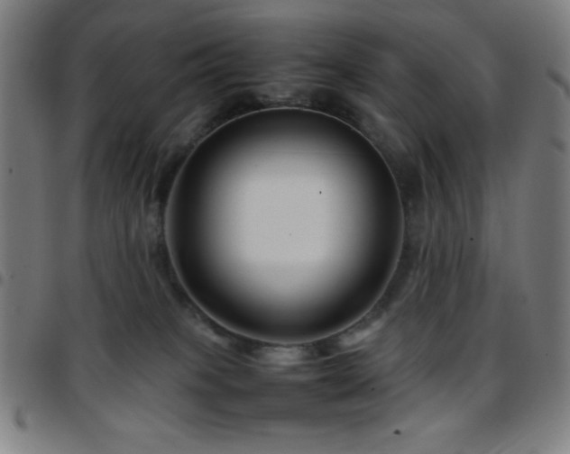 X0000097780085200803071359