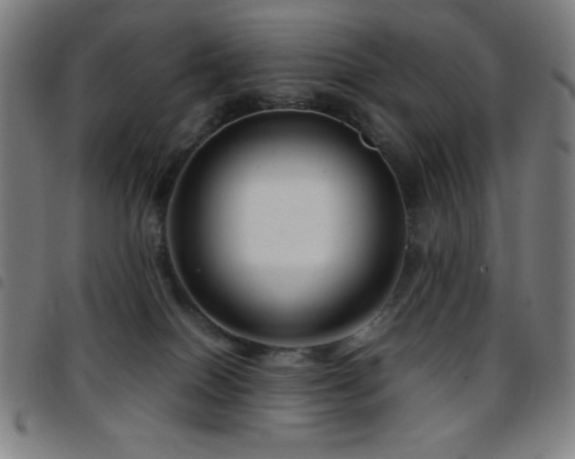 X0000097780086200803071359