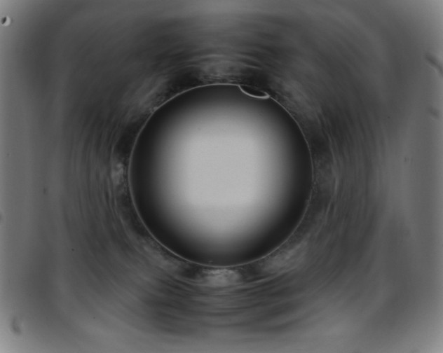 X0000097780087200803071359
