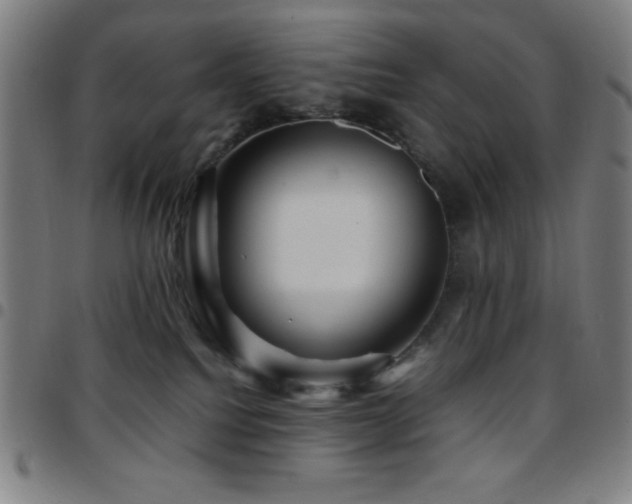 X0000097780088200803071359
