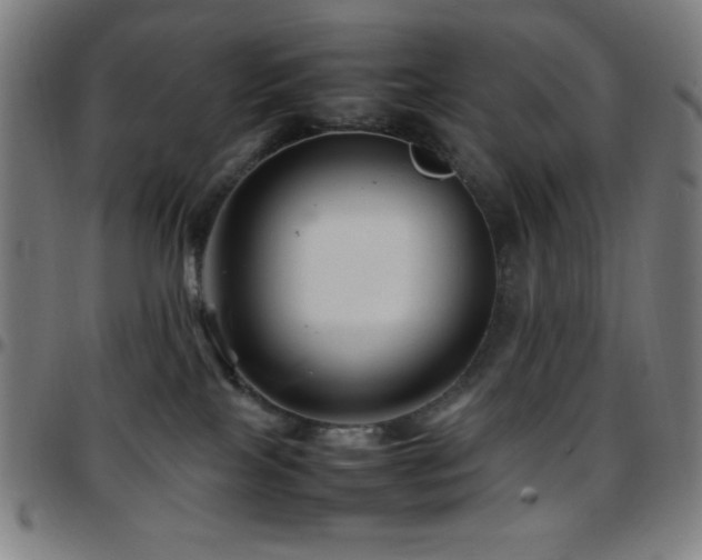 X0000097780089200803071359