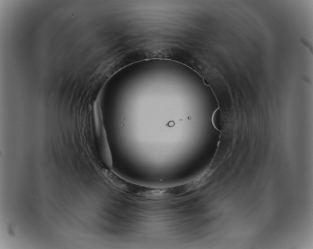 X0000097780090200803071359