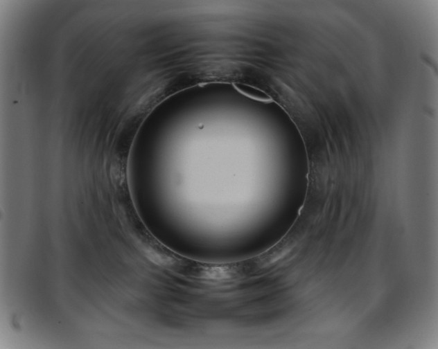 X0000097780091200803071359