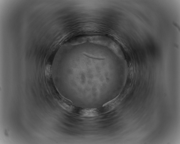 X0000097780093200803071359