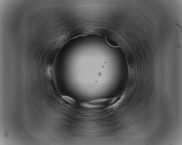 X0000097780094200803071359