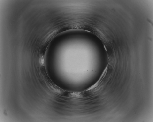 X0000097780095200803071359
