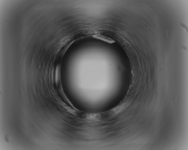 X0000097780096200803071359