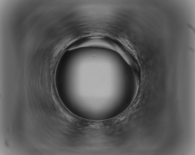 X0000097780097200803071358