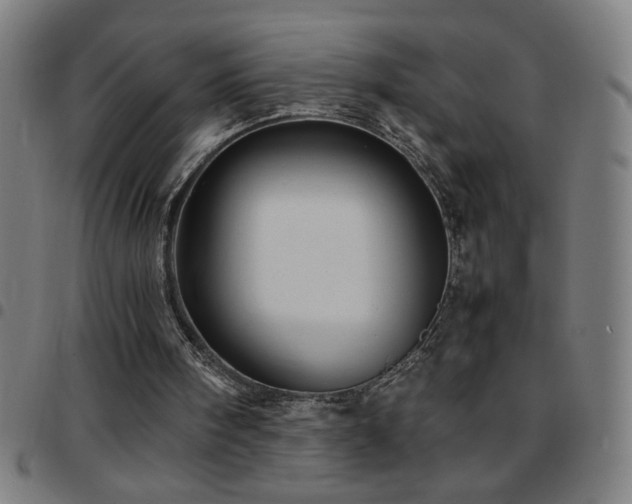 X0000097780098200803071358