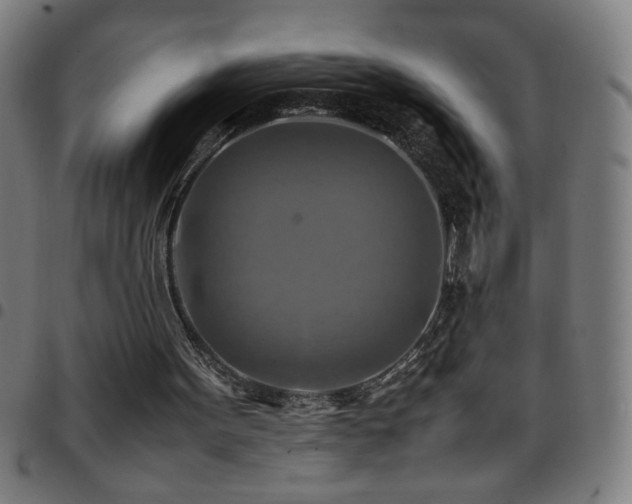 X0000097780099200803071358