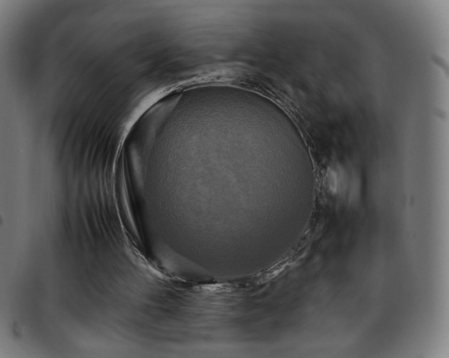 X0000097780100200803071358