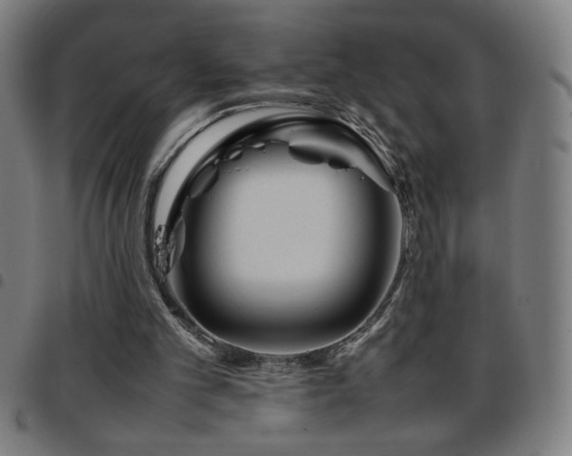 X0000097780101200803071358