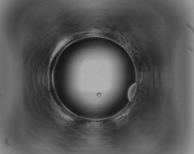X0000097780102200803071358