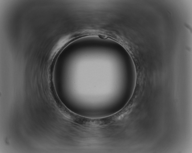 X0000097780103200803071358