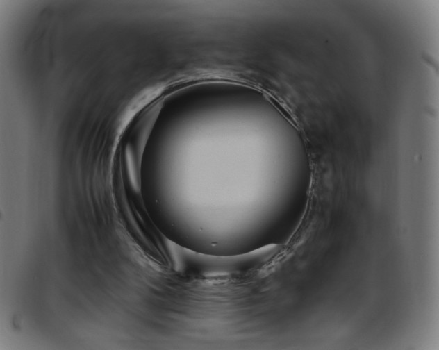 X0000097780104200803071358