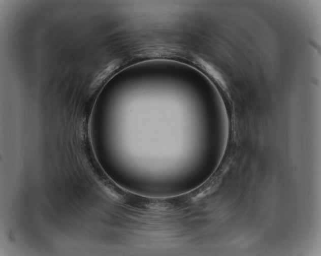 X0000097780105200803071358