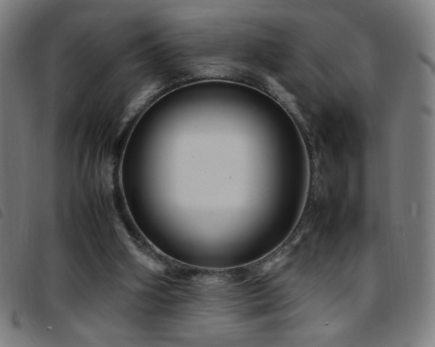 X0000097780106200803071358