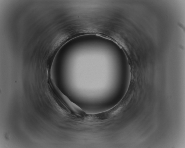 X0000097780109200803071358