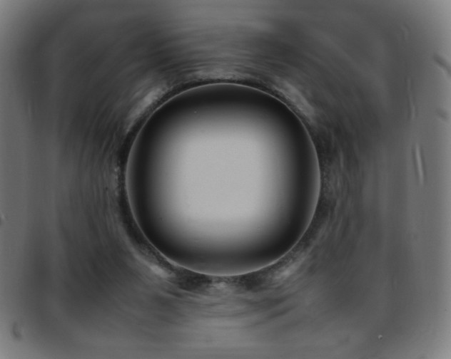 X0000097780111200803071358
