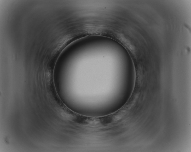 X0000097780113200803071358