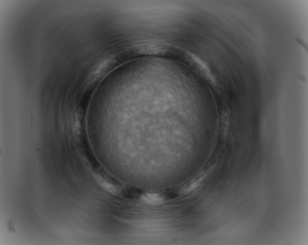 X0000097780114200803071358