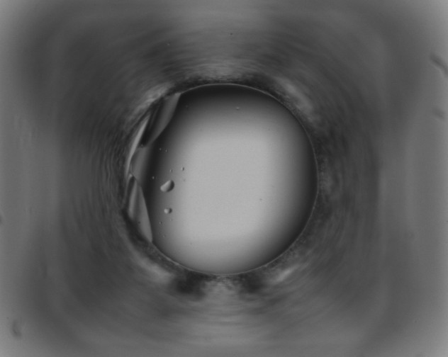 X0000097780115200803071358