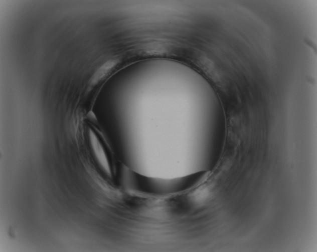 X0000097780116200803071358
