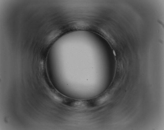 X0000097780117200803071358