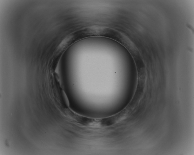 X0000097780119200803071358