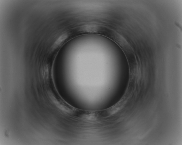 X0000097780120200803071358