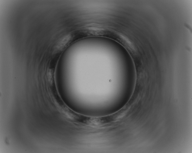 X0000097780121200803071358