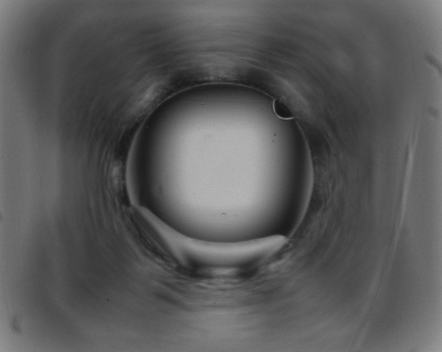 X0000097780123200803071358
