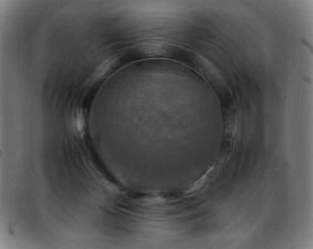 X0000097780124200803071358