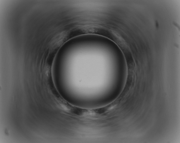 X0000097780125200803071358