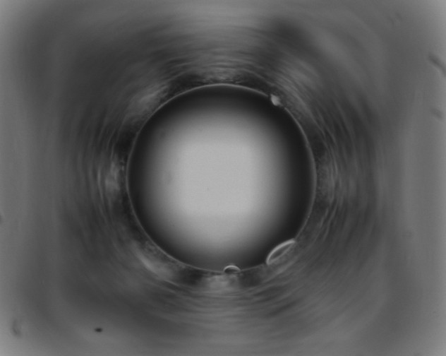 X0000097780126200803071358