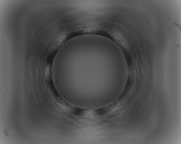 X0000097780127200803071358