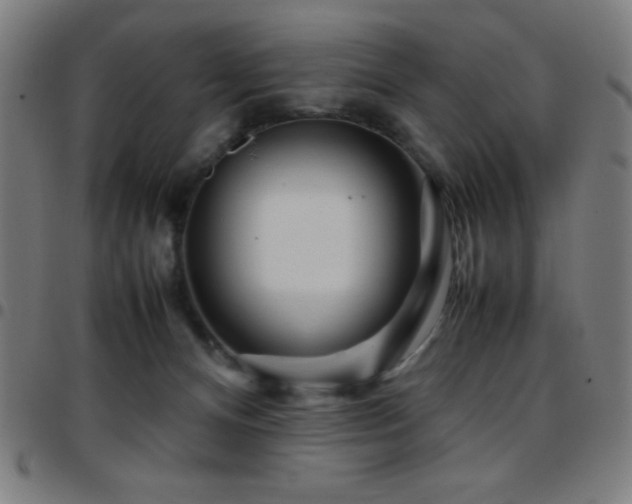 X0000097780128200803071358