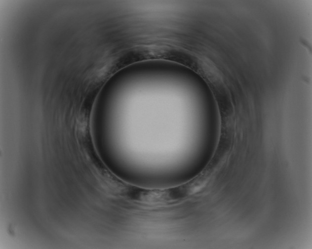 X0000097780129200803071358