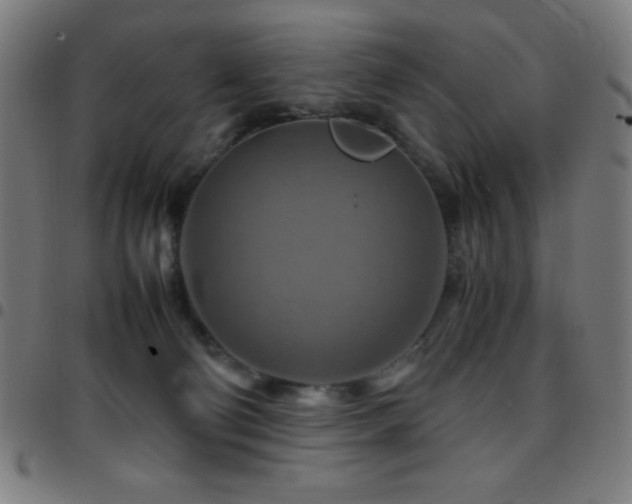 X0000097780130200803071358