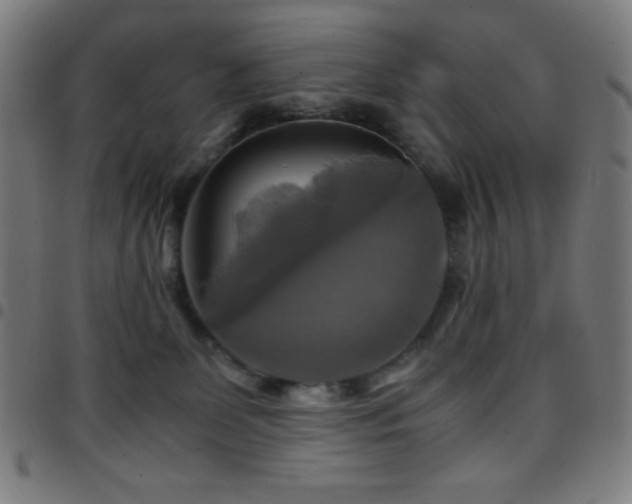 X0000097780131200803071358